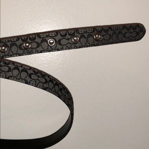 Women’s Coach Belt